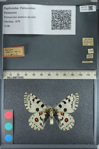 Media type: image;   Entomology 175035